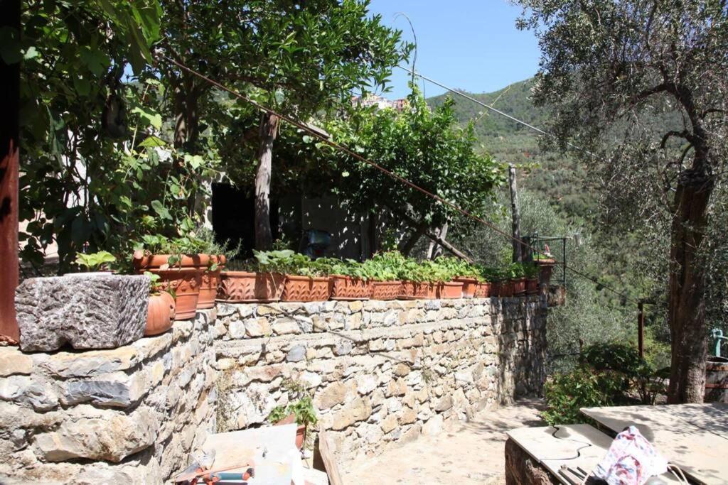 Le Case Della Lizza - Casa Blu Levanto Extérieur photo